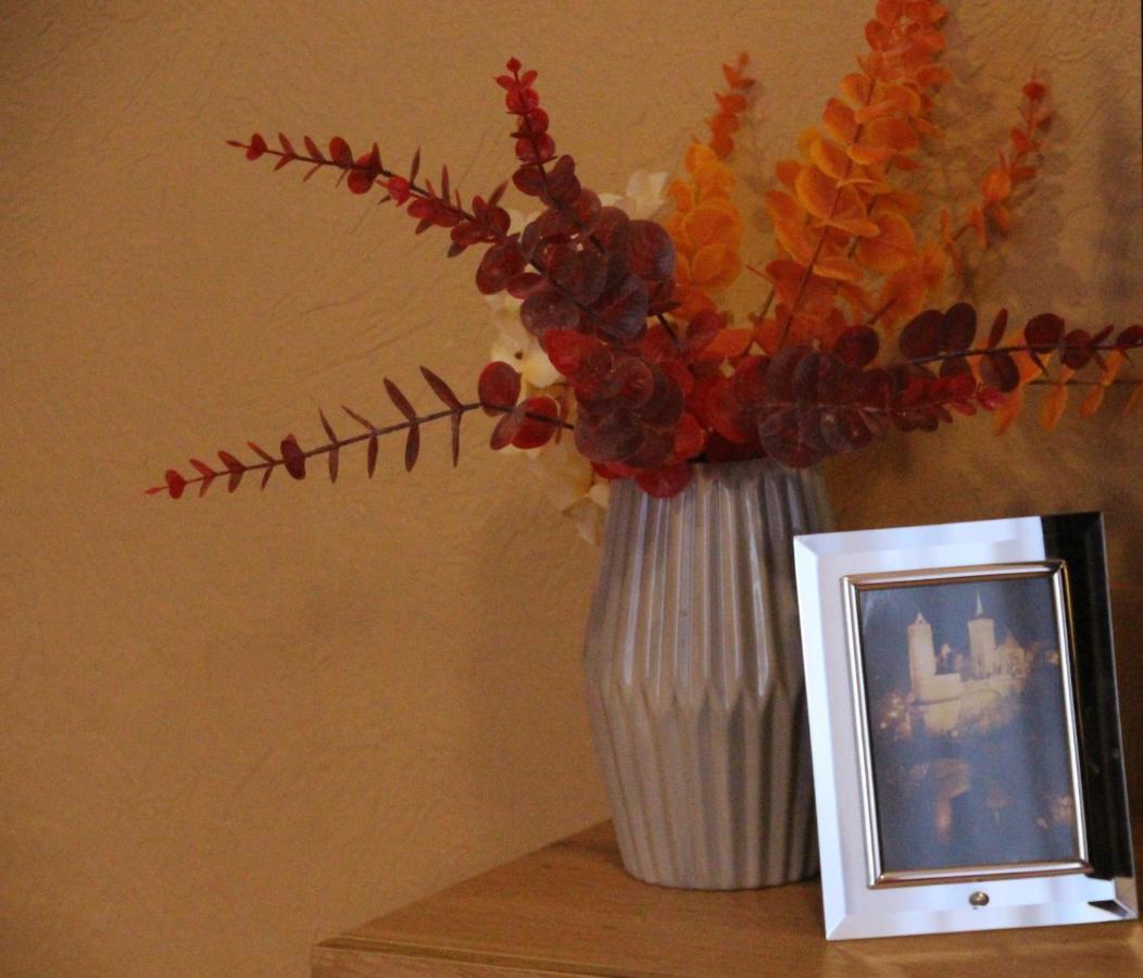 Ferienwohnung Felicitas Wilthen Extérieur photo